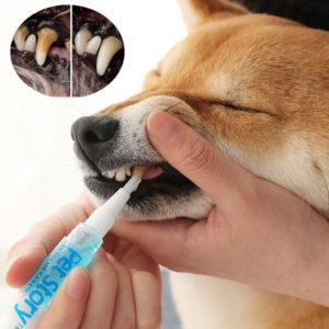 чистка зубов собакам без наркоза